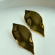 ARETE HOJA