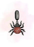 CHARM ARAÑA