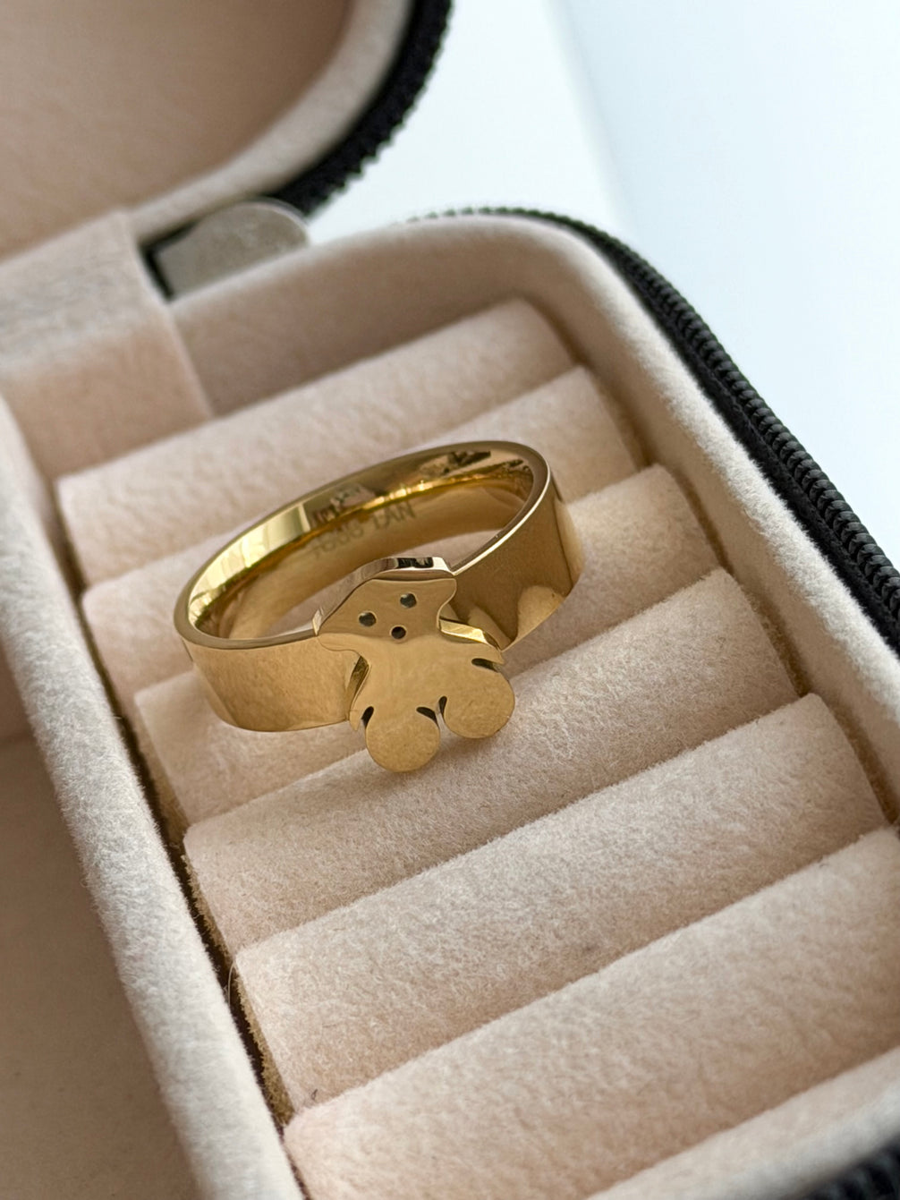 ANILLO OSITO
