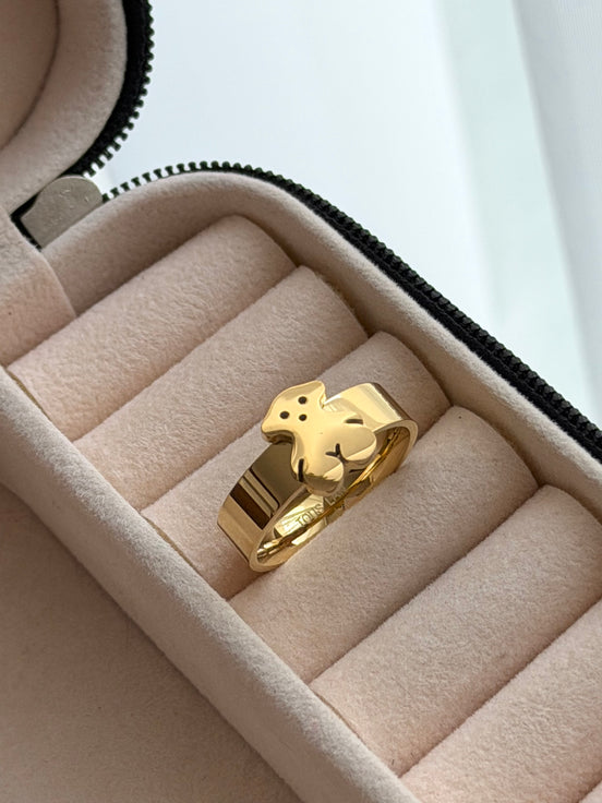 ANILLO OSITO