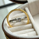 ANILLO GIRATORIO