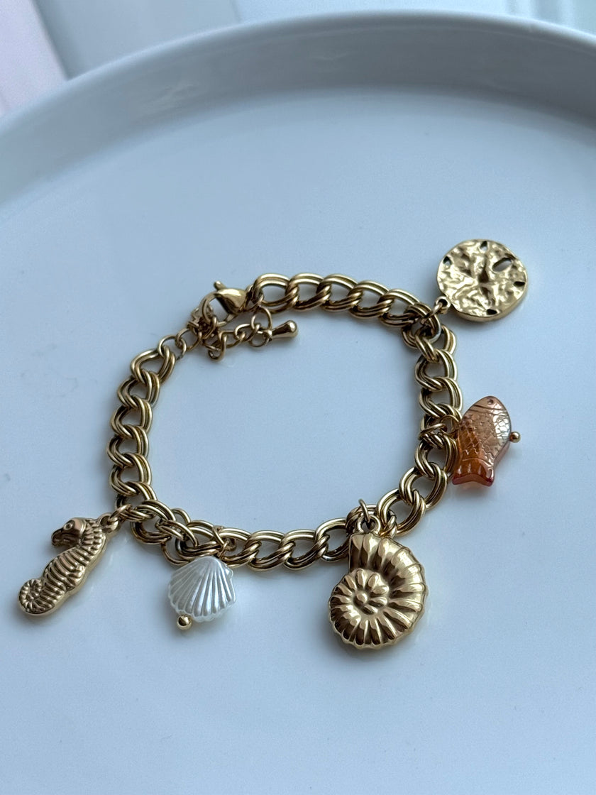 PULSERA DIJES MARINOS