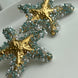 ARETE ESTRELLA