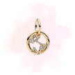 CHARM PISCIS