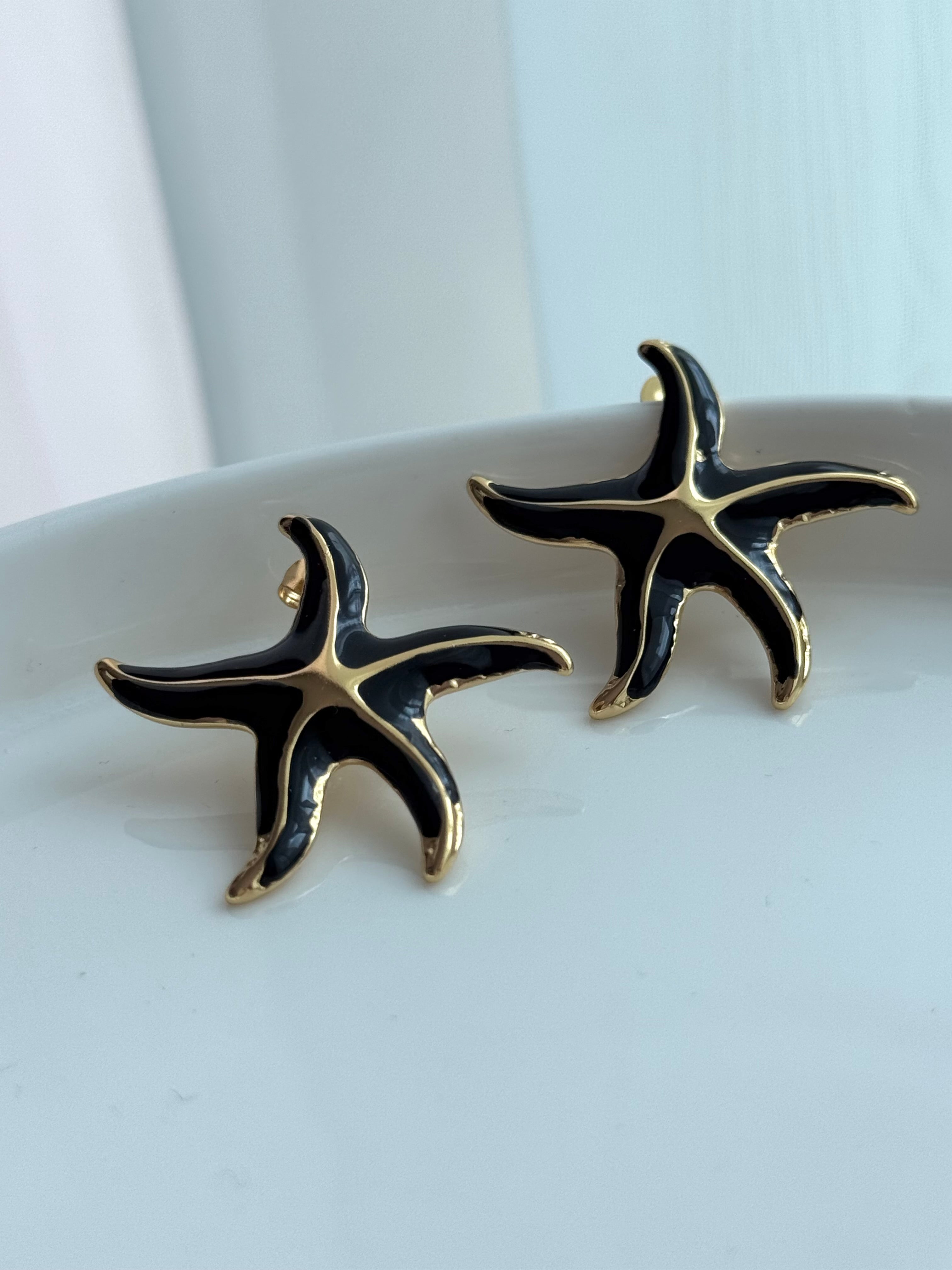 ARETE ESTRELLA NEGRA