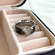 ANILLO V