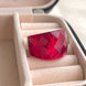 ANILLO CRISTLA SW