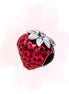 CHARM FRESA