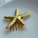 PINZA ESTRELLA PARA EL CABELLO