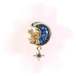 CHARM LUNA DISNEY