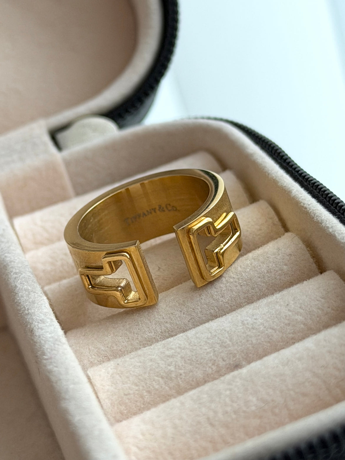 ANILLO ABIERTO T