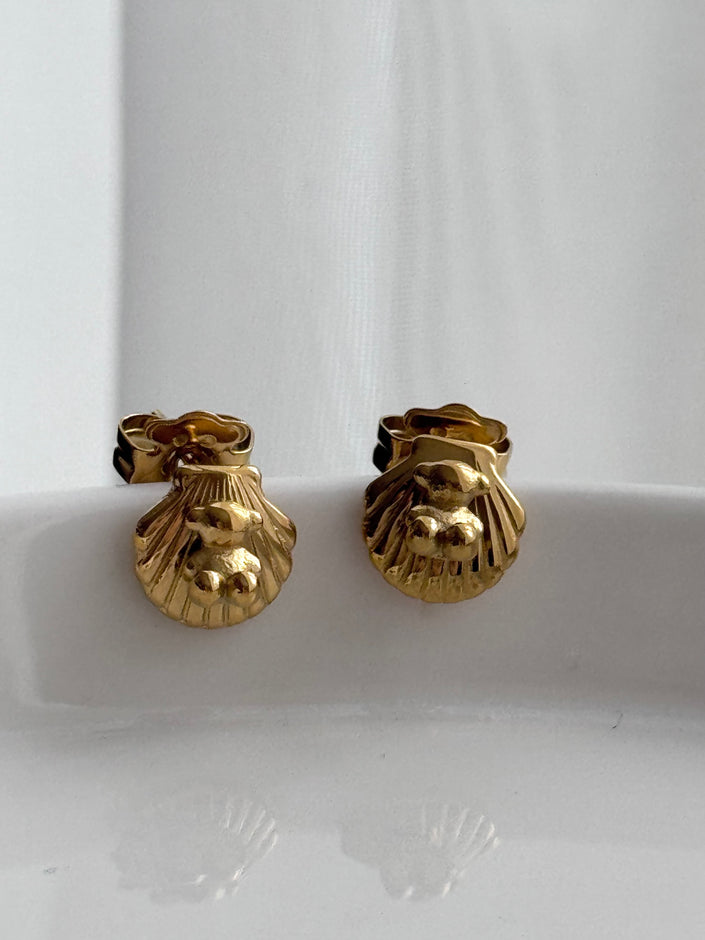 ARETE CONCHA OSITO