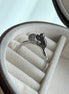 ANILLO GATO