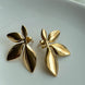 ARETE HOJAS