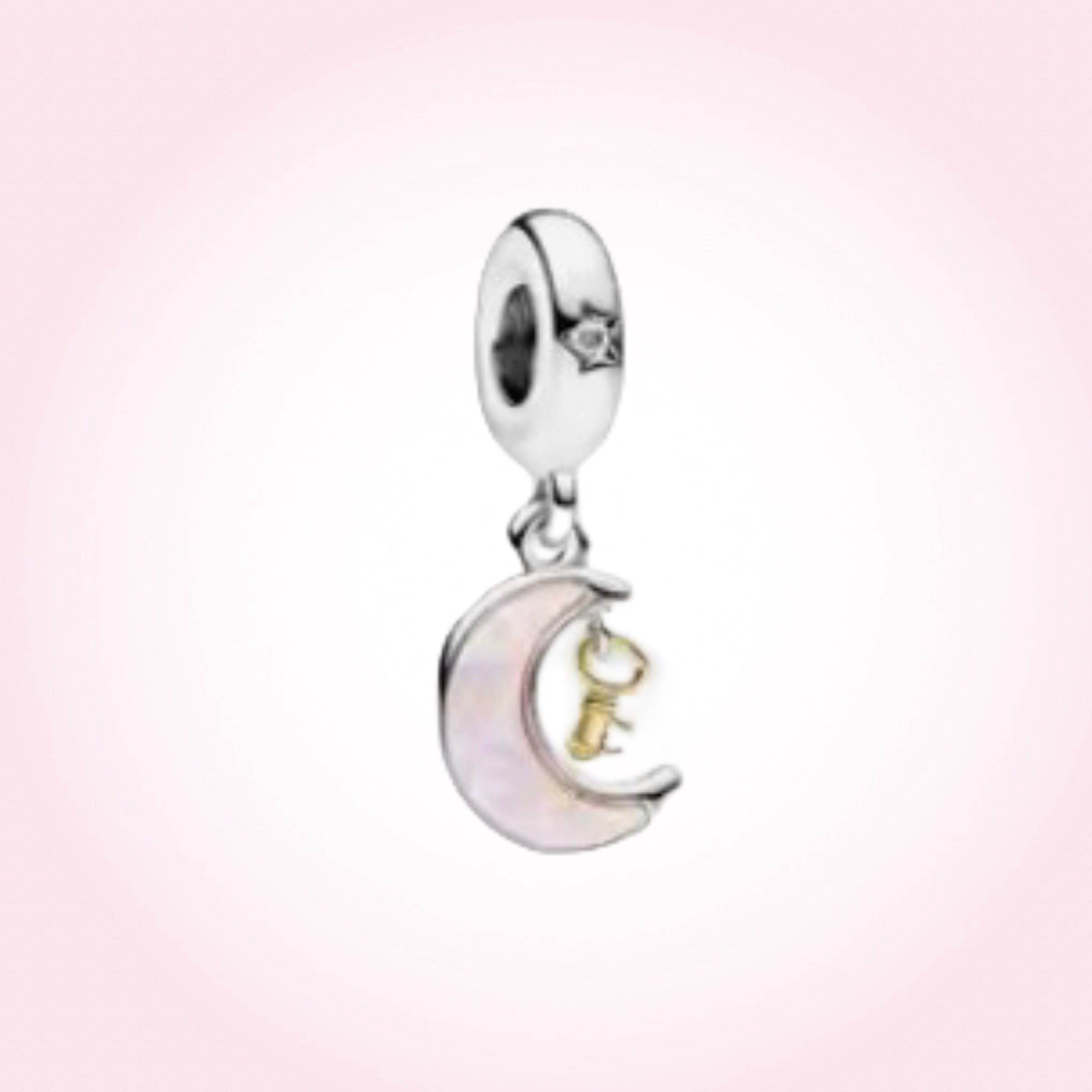 CHARMS COLGANTE