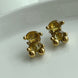 ARETE OSO AMARILLO