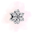 CHARM FLOR ZIRCONIA