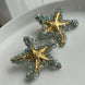 ARETE ESTRELLA