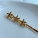 PASADOR ESTRELLAS MAR