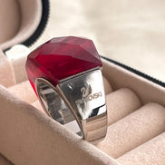 ANILLO CRISTLA SW