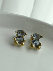 ARETE OSO AZUL