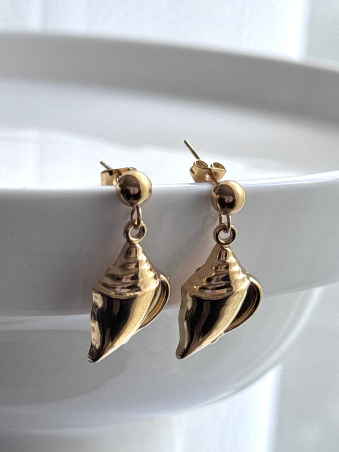 ARETE CARACOL