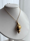 COMLAR CARACOL