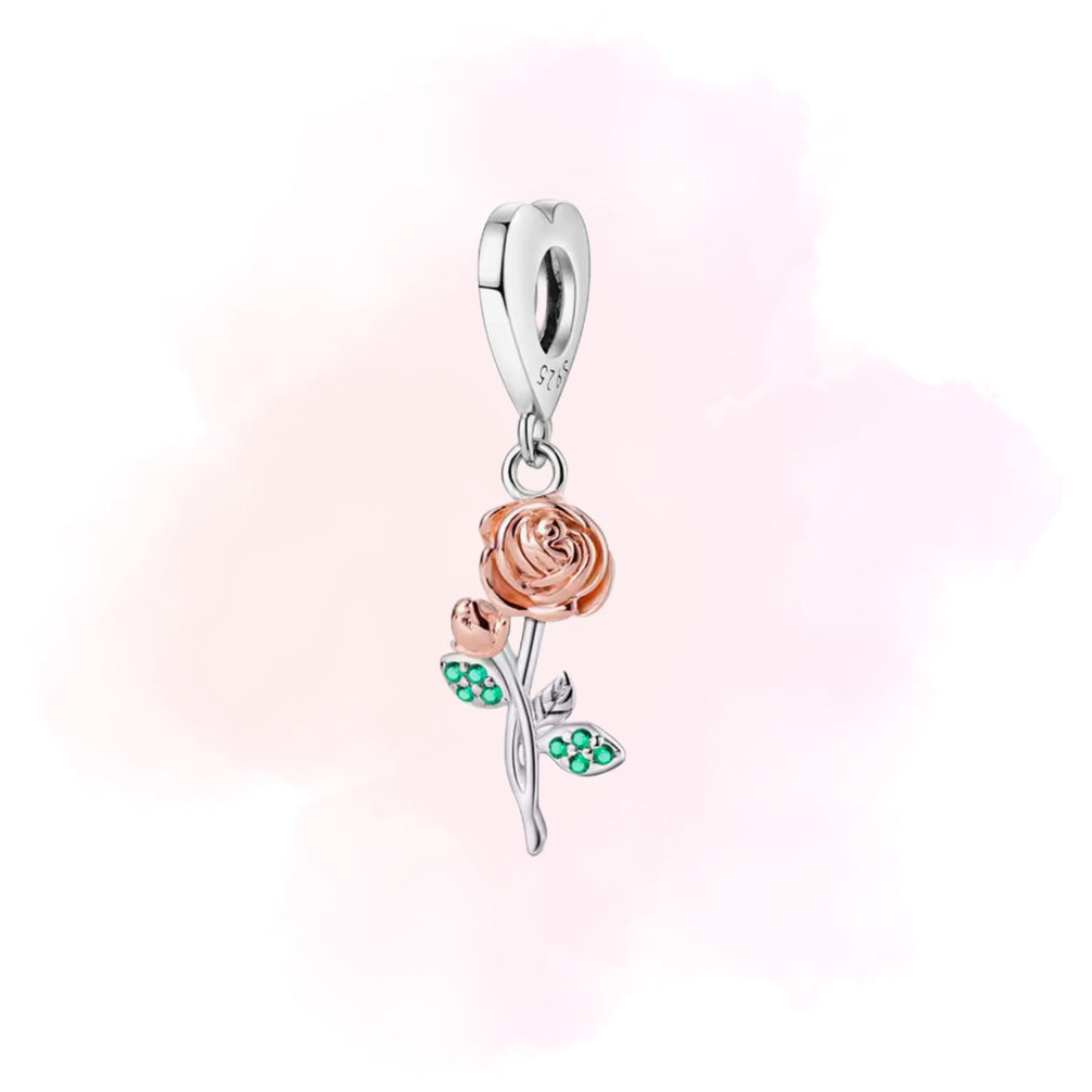 CHARM ROSA
