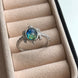 ANILLO TORTUGA
