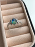 ANILLO TORTUGA
