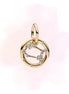 CHARM GEMINIS
