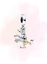 CHARM DISNEY 100