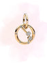 CHARM ARIES