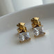 ARETE OSO CRISTAL