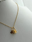 COLLAR CANDADO