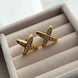 ARETES X