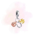 CHARM DIJES