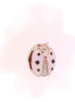 CHARM CATARINA