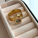 ANILLO ENCAPSULADO