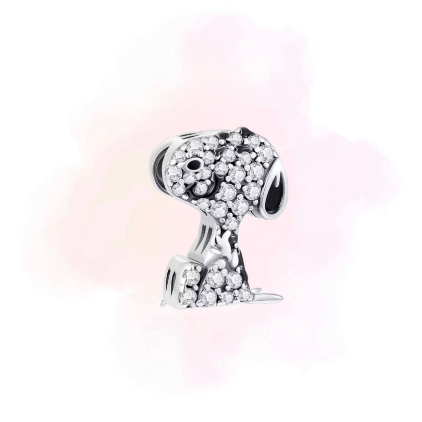 CHARM SNUPY